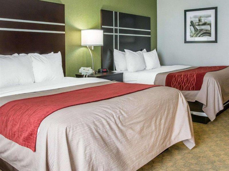 Comfort Inn & Suites Maumee - Toledo I80-90 Zewnętrze zdjęcie