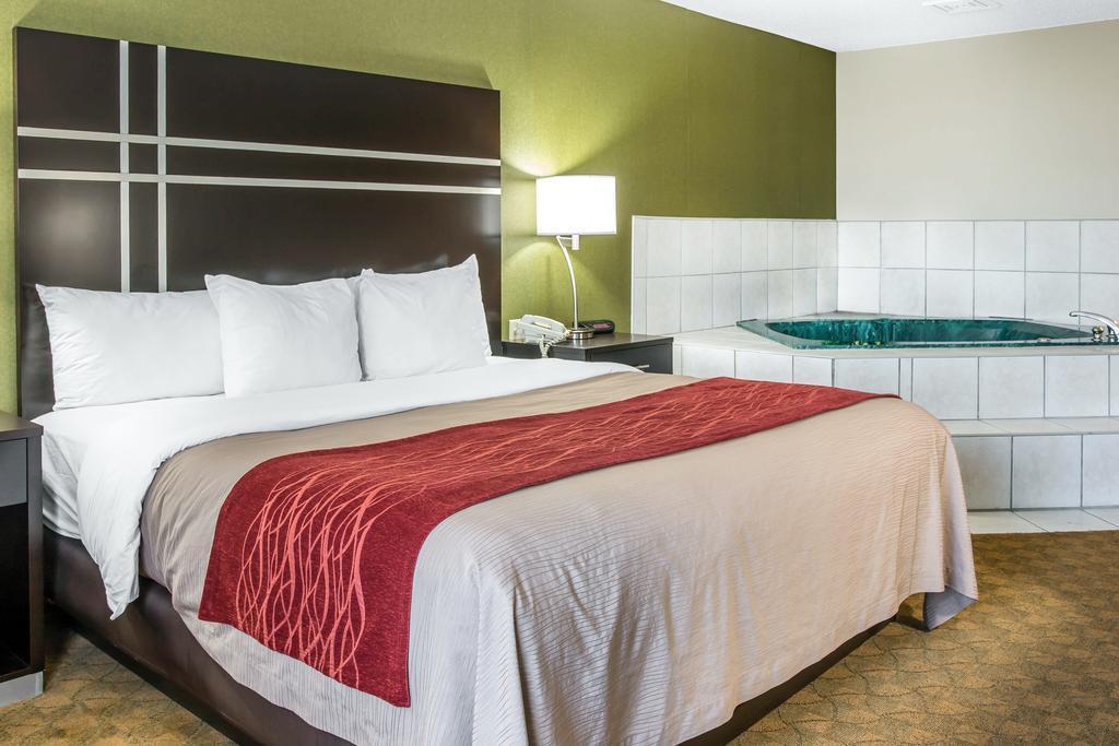 Comfort Inn & Suites Maumee - Toledo I80-90 Zewnętrze zdjęcie
